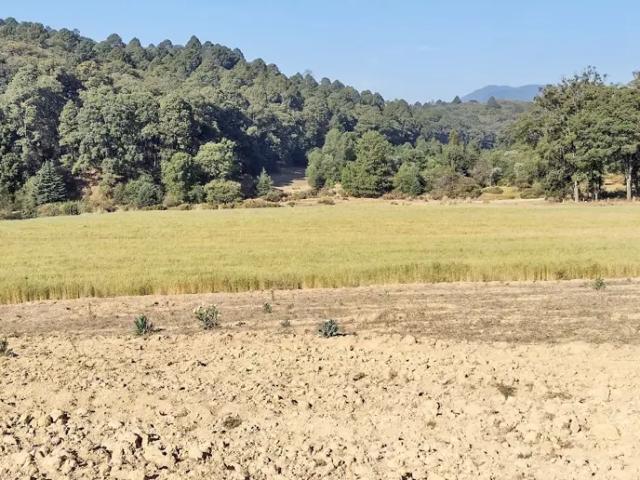 Terreno en venta en Padilla, Tamaulipas