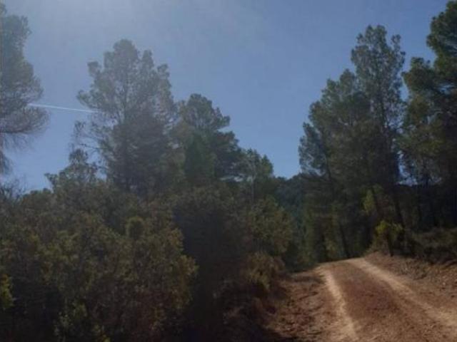 Terreno en venta en El Pontón, Requena