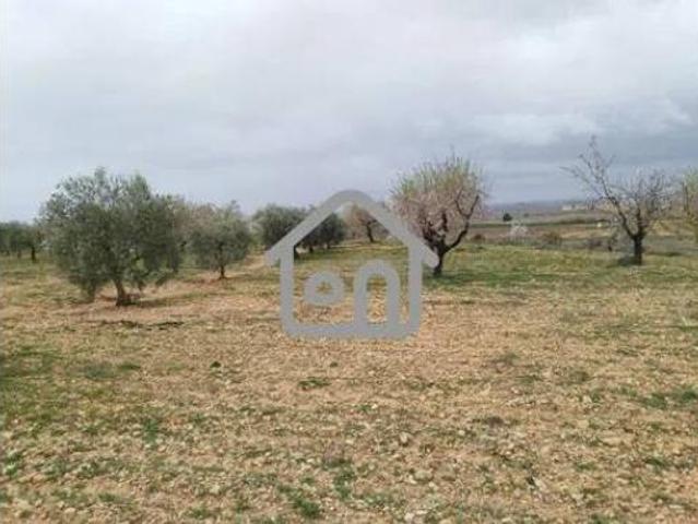 Terreno en venta en Campo Arcís, Requena