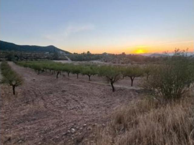 Terreno en venta en Ricote, Región de Murcia