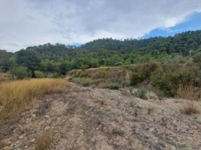 Terreno en venta en Ricote, Región de Murcia