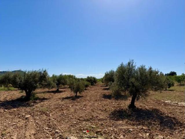 Terreno en venta en Ricote, Región de Murcia