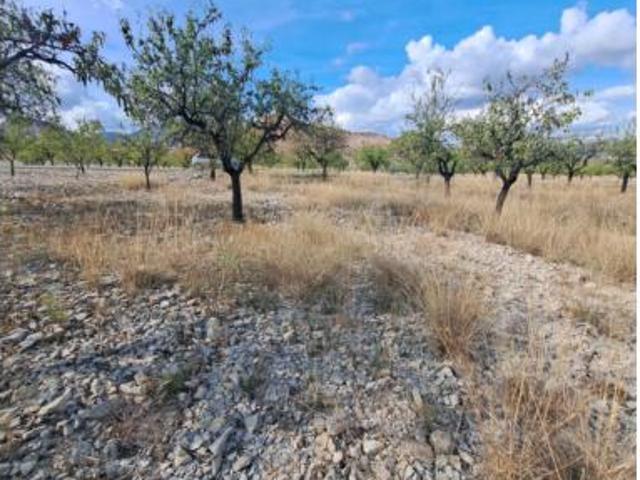 Terreno en venta en Ricote, Región de Murcia