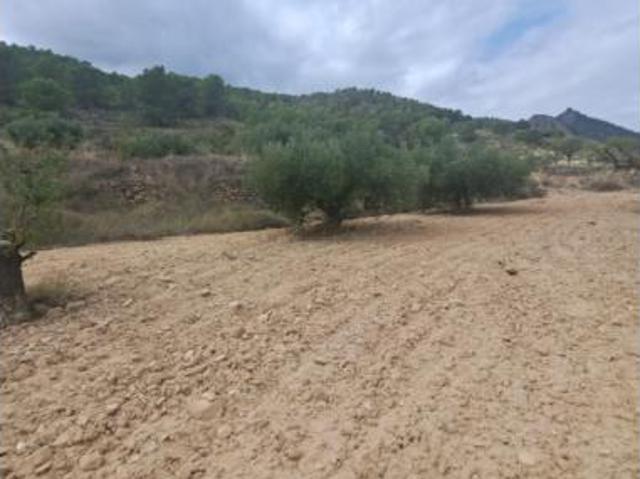 Terreno en venta en Ricote, Región de Murcia