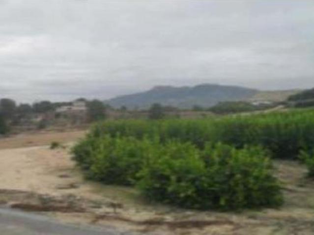 Terreno en venta en Ricote, Región de Murcia