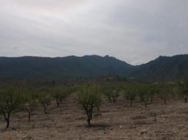 Terreno en venta en Ricote, Región de Murcia