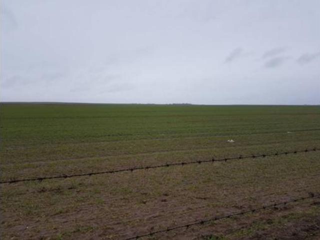 Terreno en venta en Barrio del Cabezo, Robleda-Cervantes