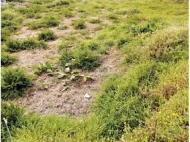 Terreno en venta en Rodeiro