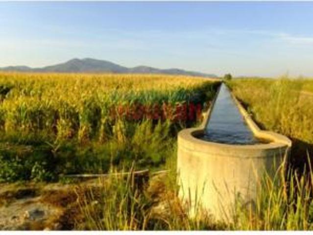 Terreno en venta en Rosalejo, Cáceres