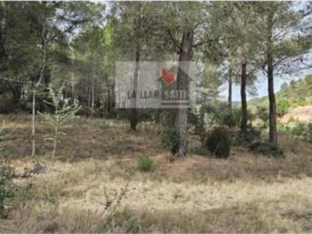 Terreno en venta en Torrent d'en Fenollet, Llanera de Ranes