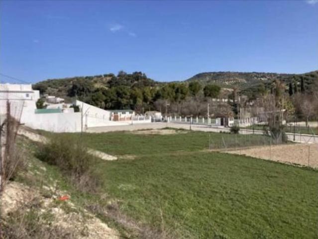 Terreno en venta en Zambra, Rute