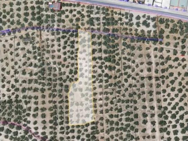 Terreno en venta en Rute, Córdoba