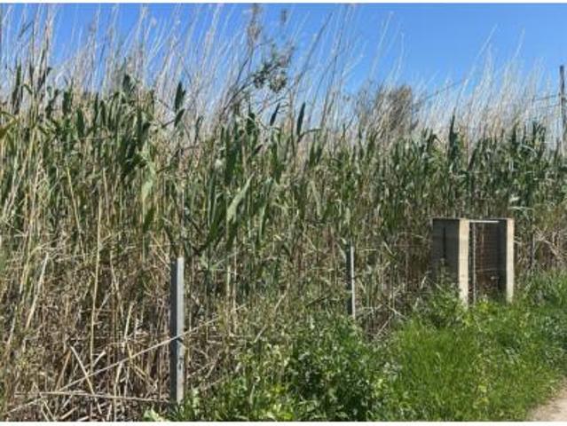 Terreno en venta en sa Pobla, Illes Balears