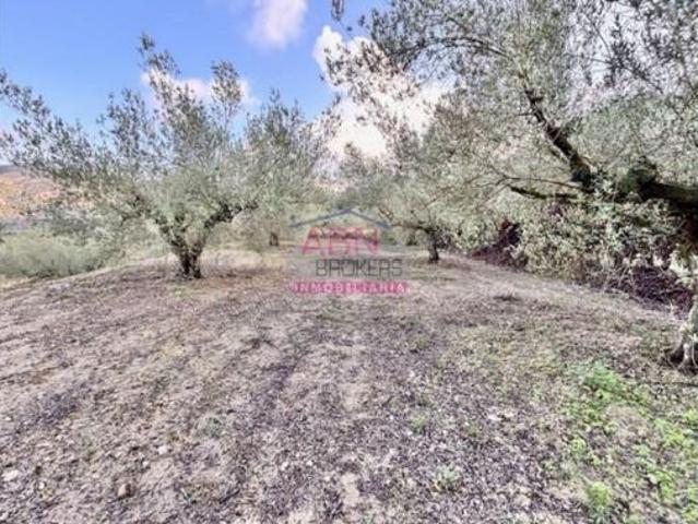 Terreno en venta en Salem, València / Valencia