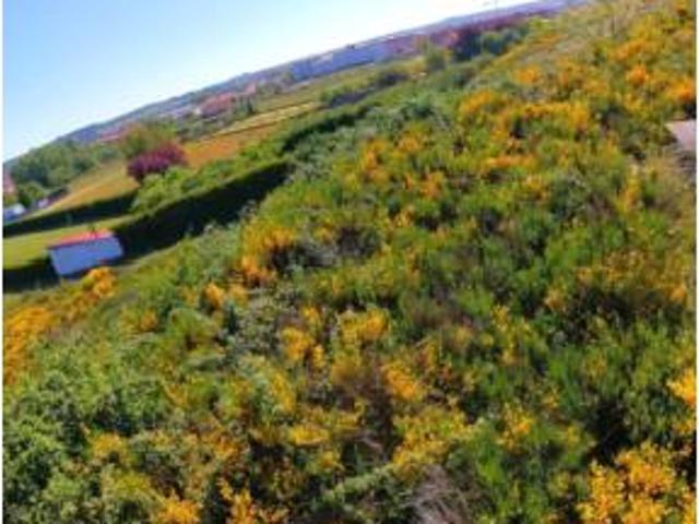 Terreno en venta en Trobajo del Camino, San Andrés del Rabanedo