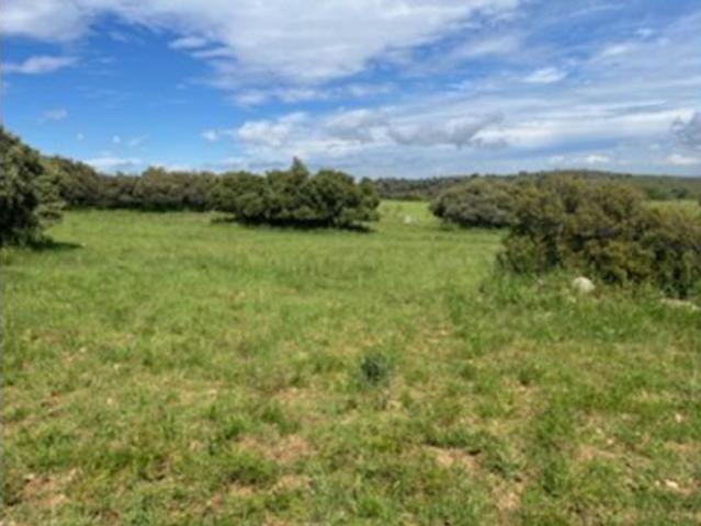 Terreno en venta en San Martín de Montalbán, Toledo