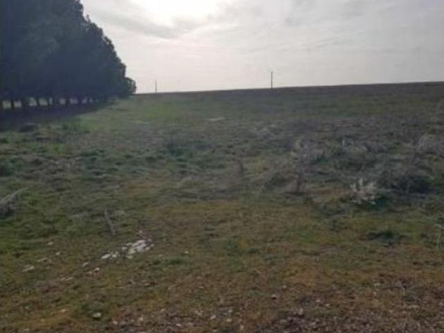 Terreno en venta en San Vicente del Palacio, Valladolid