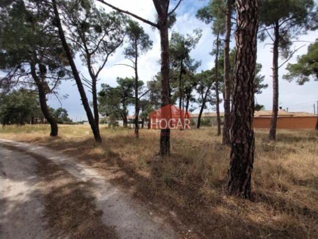 Terreno en venta en La Estación, Sanchidrián