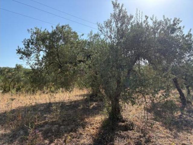 Terreno en venta en Sanlúcar la Mayor, Sevilla