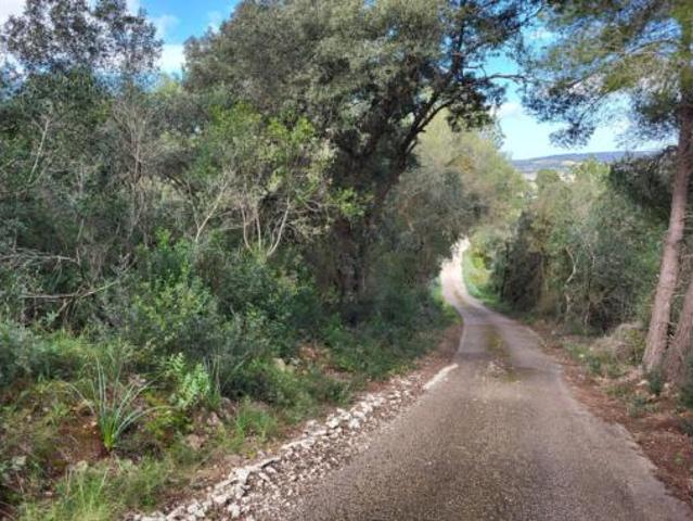 Terreno en venta en Vilafranca de Bonany, Illes Balears
