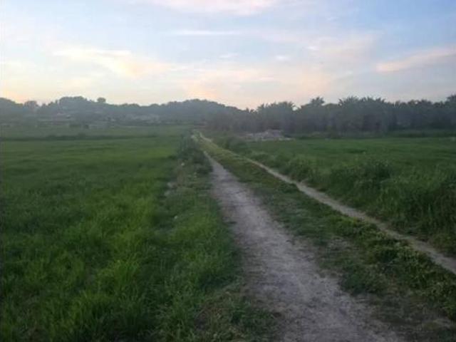 Terreno en venta en Vilafranca de Bonany, Illes Balears