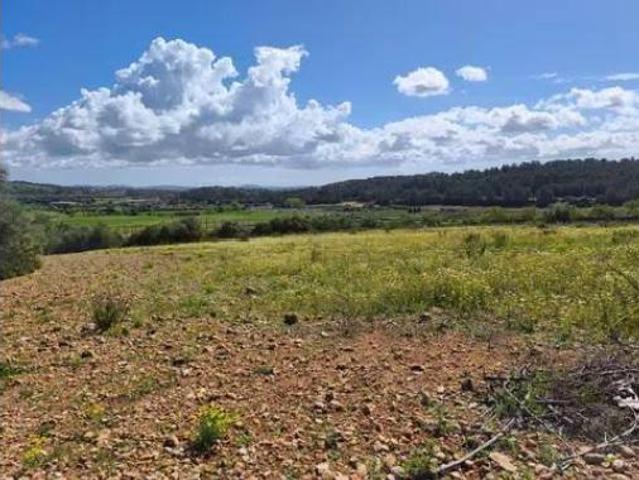 Terreno en venta en Vilafranca de Bonany, Illes Balears