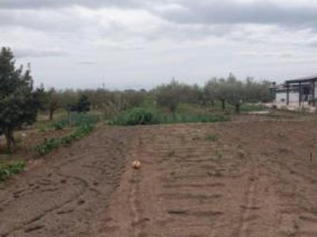 Terreno en venta en Santa Amalia, Badajoz