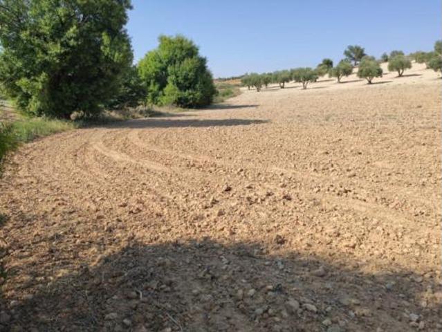 Terreno en venta en Santa Cruz de la Zarza, Toledo