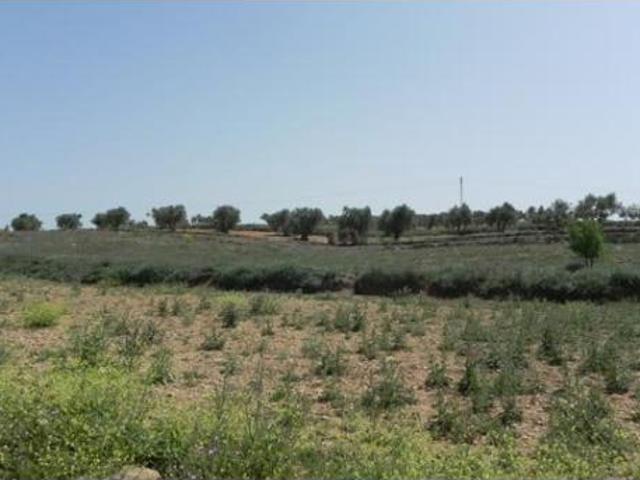Terreno en venta en Santa María de los Llanos, Cuenca