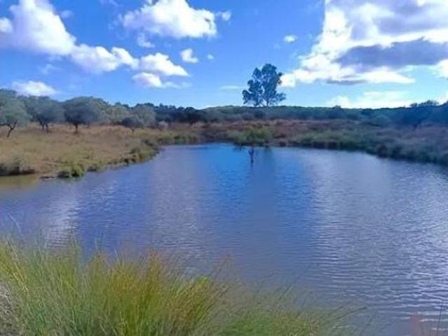 Terreno en venta en Santa Olalla del Cala, Huelva