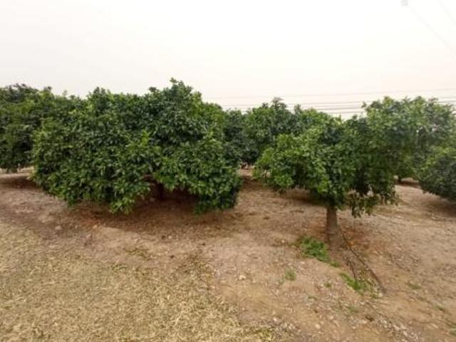 Terreno en venta en Santomera