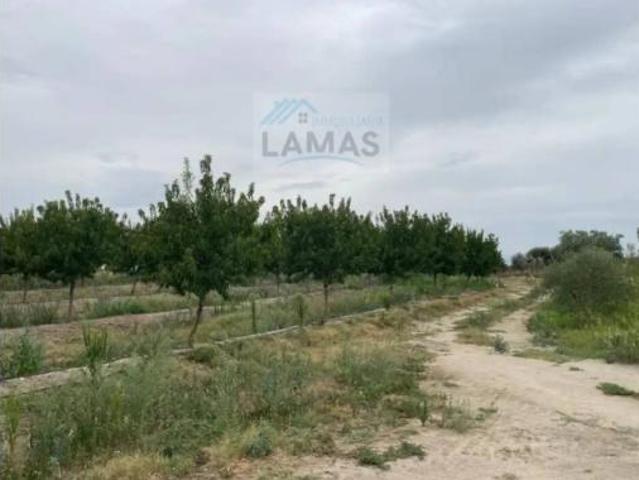 Terreno en venta en Saucedilla, Cáceres