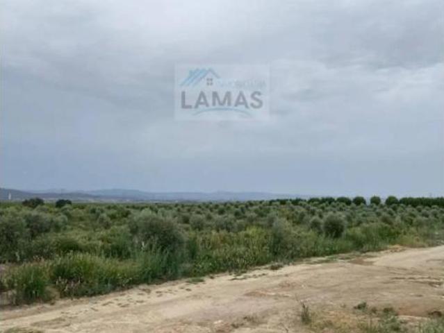 Terreno en venta en Saucedilla, Cáceres