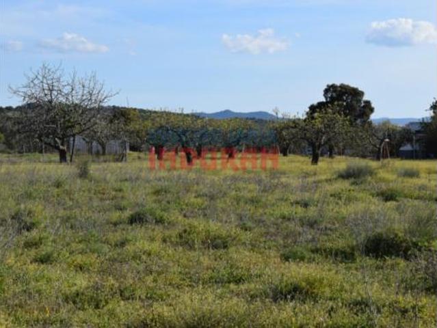 Terreno en venta en Saucedilla, Cáceres