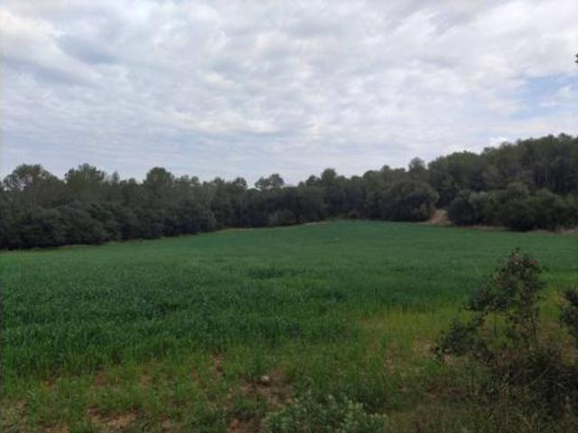 Terreno en venta en Camallera, Saus, Camallera i Llampaies