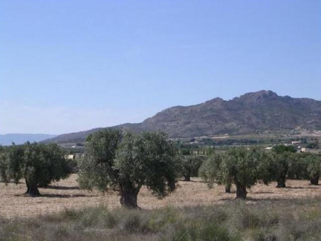 Terreno en venta en Sax, Alacant / Alicante