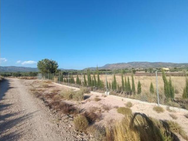 Terreno en venta en Sax, Alacant / Alicante