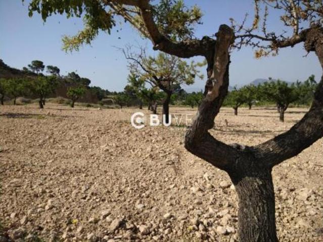 Terreno en venta en Sax, Alacant / Alicante