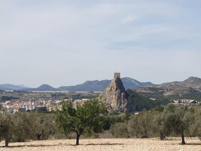 Terreno en venta en María Moliner, Sax