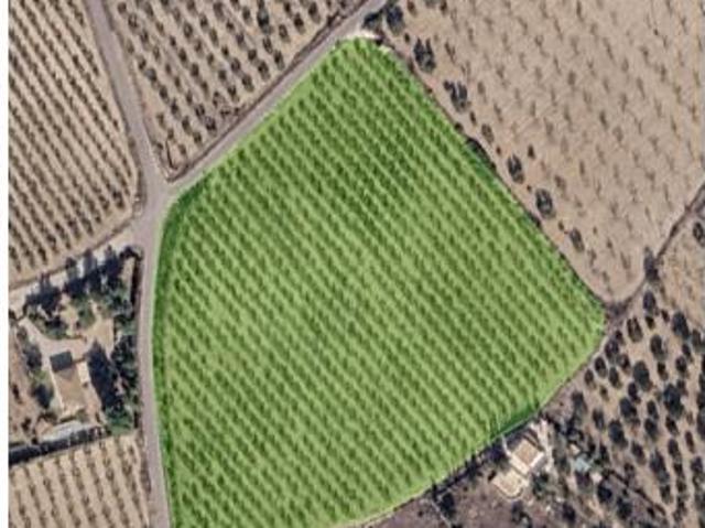 Terreno en venta en María Moliner, Sax
