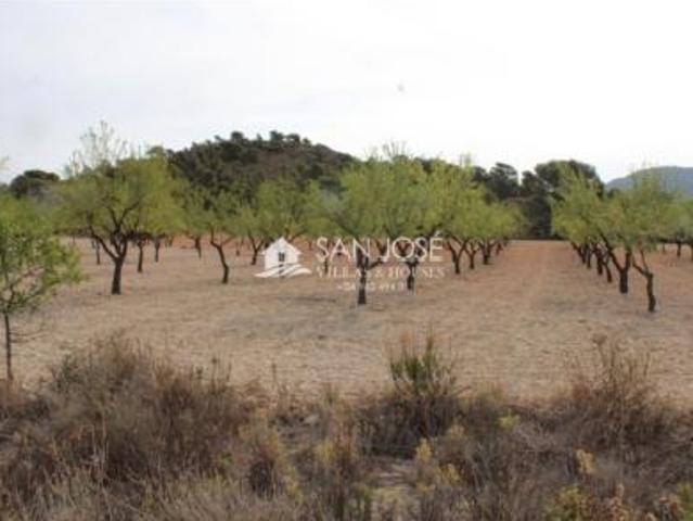 Terreno en venta en La Estación, Sax