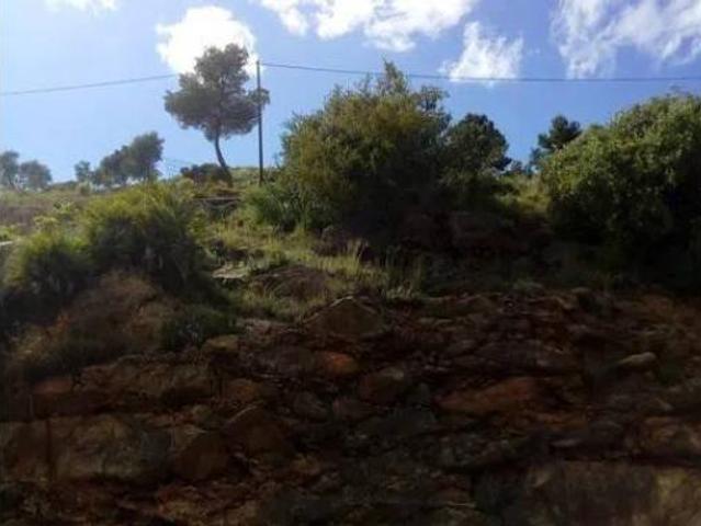 Terreno en venta en Segart, València / Valencia