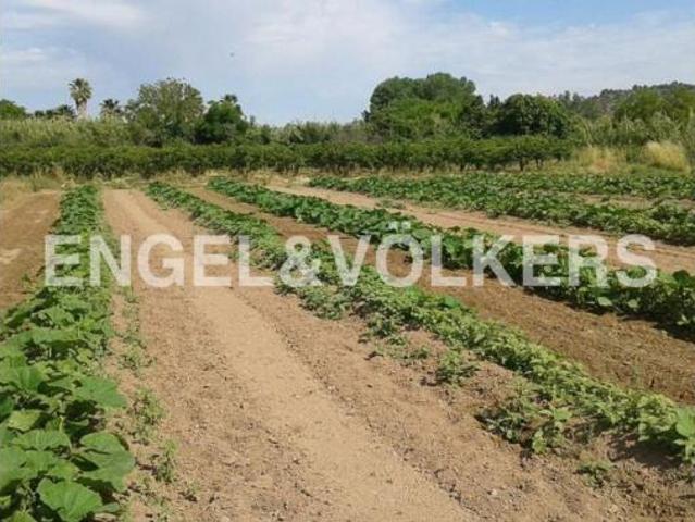 Terreno en venta en Escorrales, Segorbe