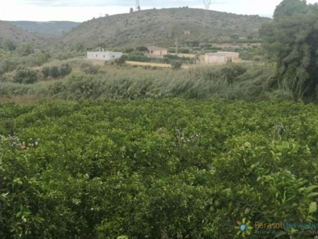 Terreno en venta en Sellent, València / Valencia