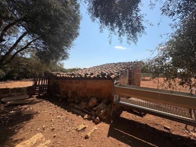 Terreno en venta en Sencelles, Illes Balears