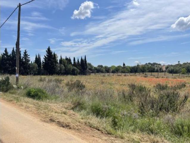 Terreno en venta en Sencelles, Illes Balears