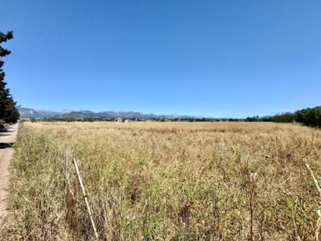 Terreno en venta en Sencelles, Illes Balears