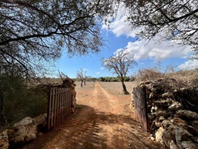Terreno en venta en Sencelles, Illes Balears