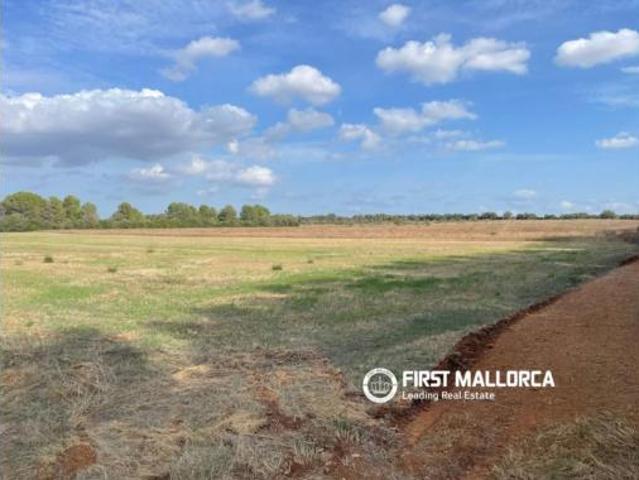 Terreno en venta en Biniali, Sencelles
