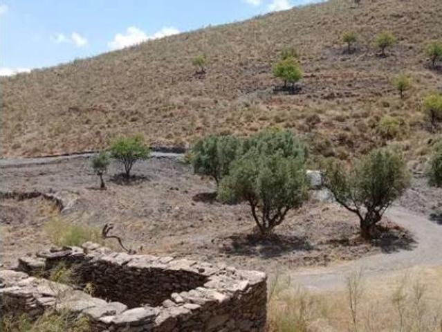 Terreno en venta en Senés, Almería